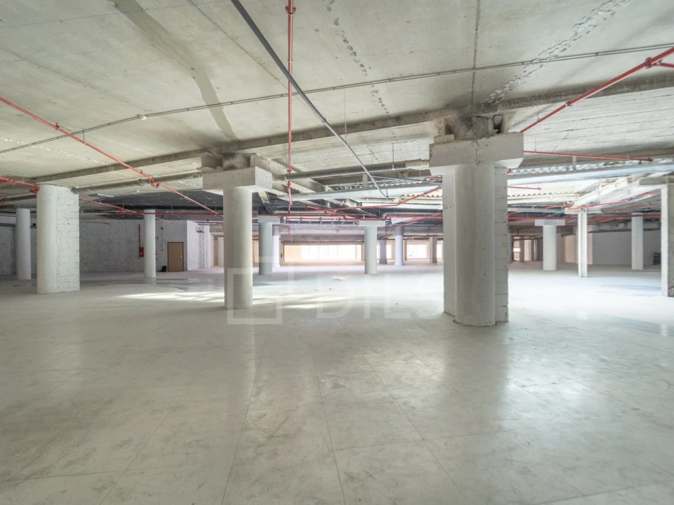 Escritório para Arrendamento em Cedofeita, Santo Ildefonso, Sé, Miragaia, São Nicolau e Vitória Foto 12