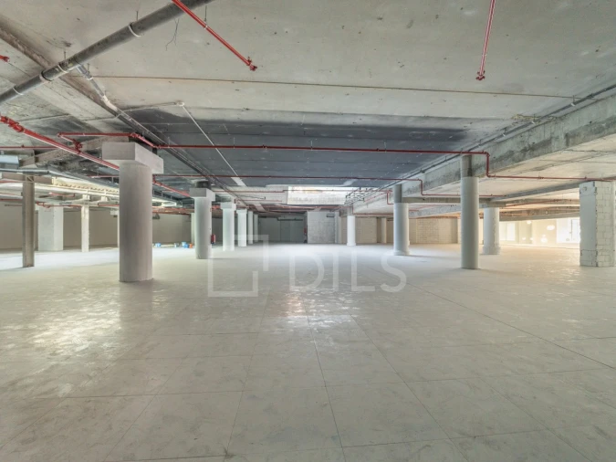 Escritório para Arrendamento em Cedofeita, Santo Ildefonso, Sé, Miragaia, São Nicolau e Vitória Foto 3