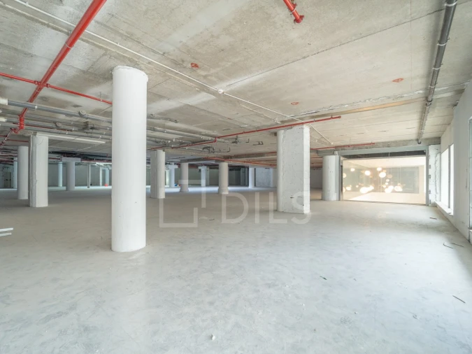 Escritório para Arrendamento em Cedofeita, Santo Ildefonso, Sé, Miragaia, São Nicolau e Vitória Foto 13