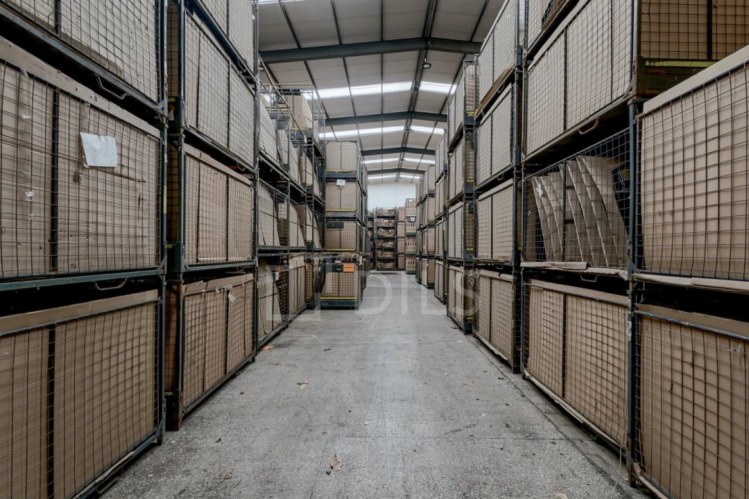 Armazém para Arrendamento em Carregado e Cadafais Foto 8