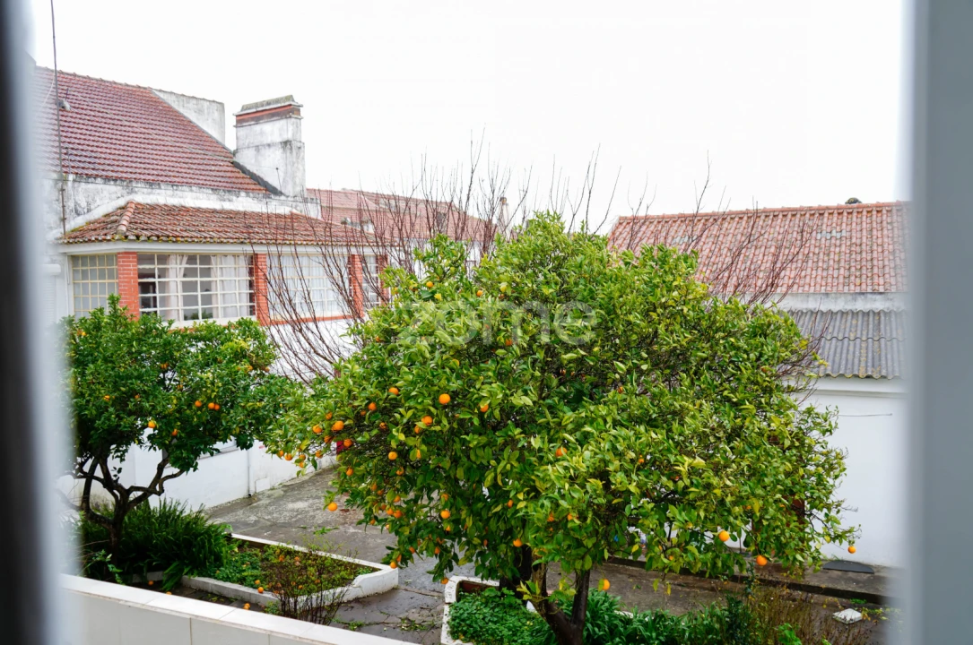Apartamento T1 para Venda em Grândola e Santa Margarida da Serra Foto 17