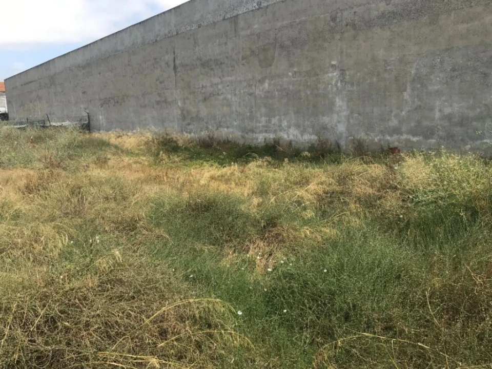 Armazém para Venda em Montijo e Afonsoeiro Foto 23