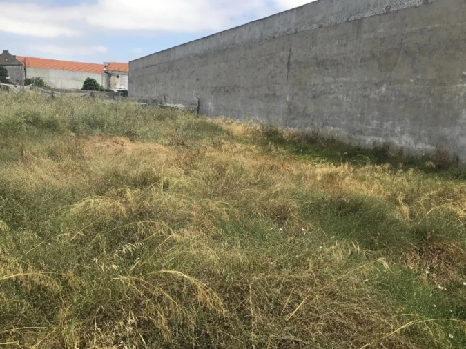 Armazém para Venda em Montijo e Afonsoeiro Foto 21