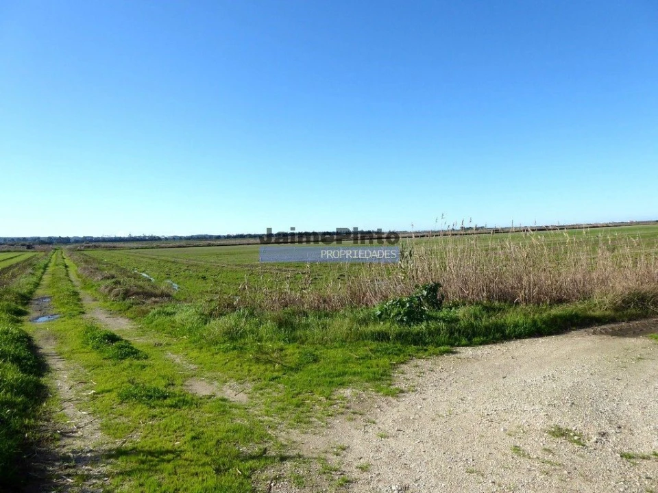 Terreno Misto para Venda em Tavarede Foto 6