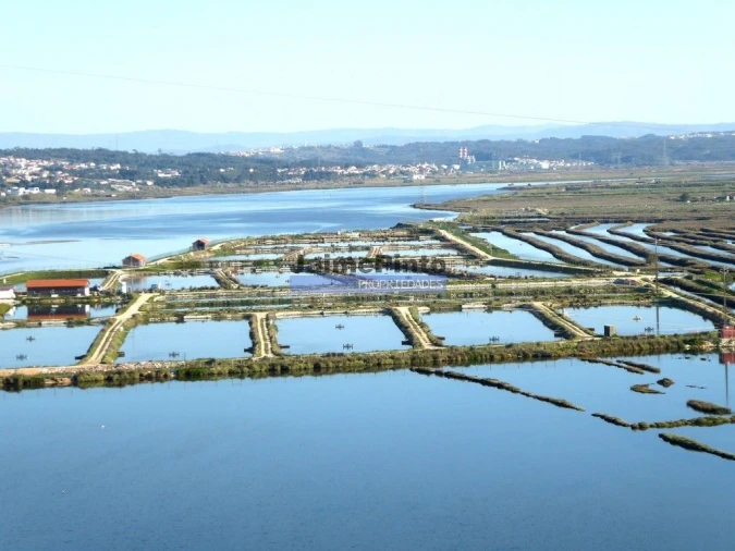 Terreno Misto para Venda em Tavarede Foto 2