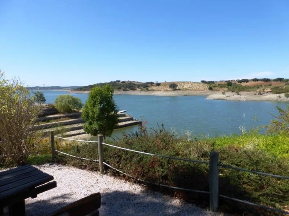 Terreno Agricola ou Rústico para Venda em Avis Foto 5