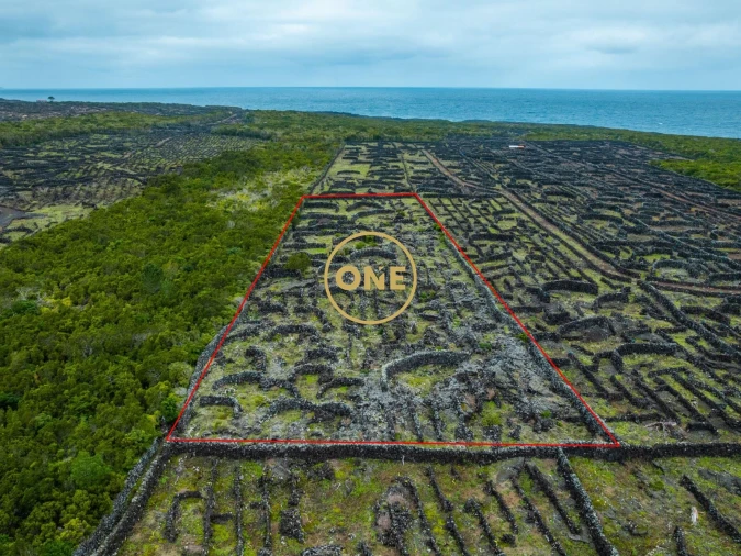 Terreno para Venda em Bandeiras