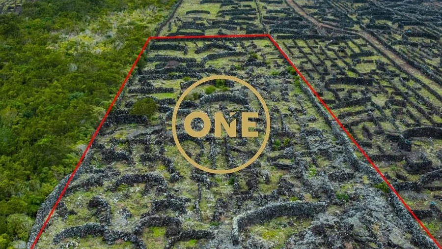 Terreno para Venda em Madalena