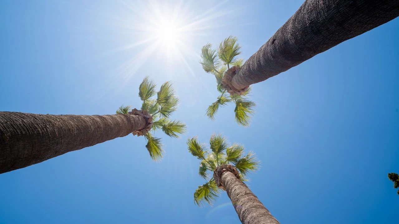 Moradia T5 para Cedência de Quotas em Luz de Tavira e Santo Estêvão Foto 31