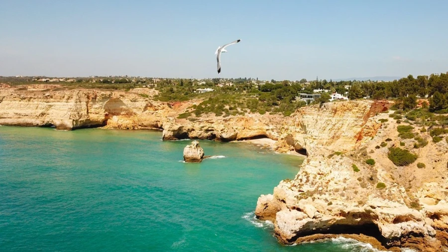 Moradia T3 para para venda em Lagoa e Carvoeiro Foto 19