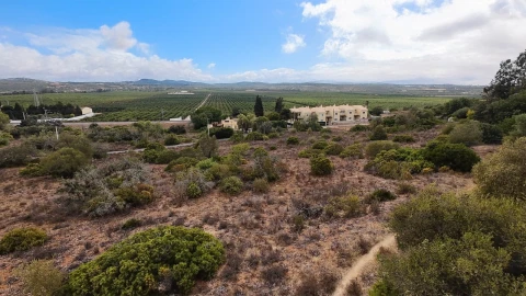 Terreno P/ Prédio para para venda em Alcantarilha e Pêra