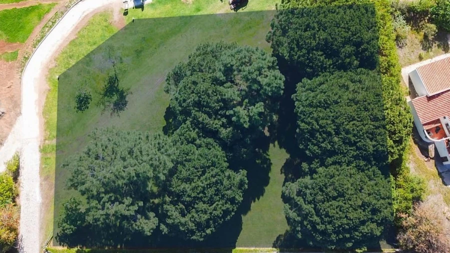 Terreno para para venda em Almancil Foto 11