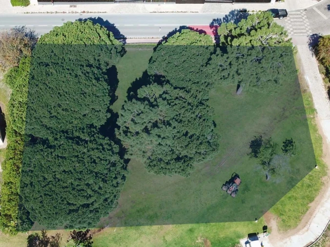 Terreno para para venda em Almancil Foto 12