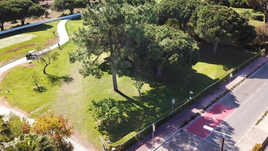 Terreno para para venda em Almancil Foto 13