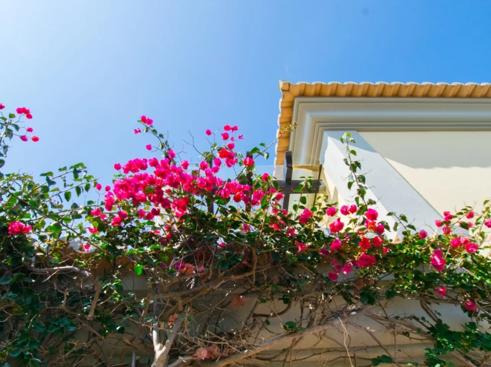 Quinta T2 para para venda em Almancil Foto 16