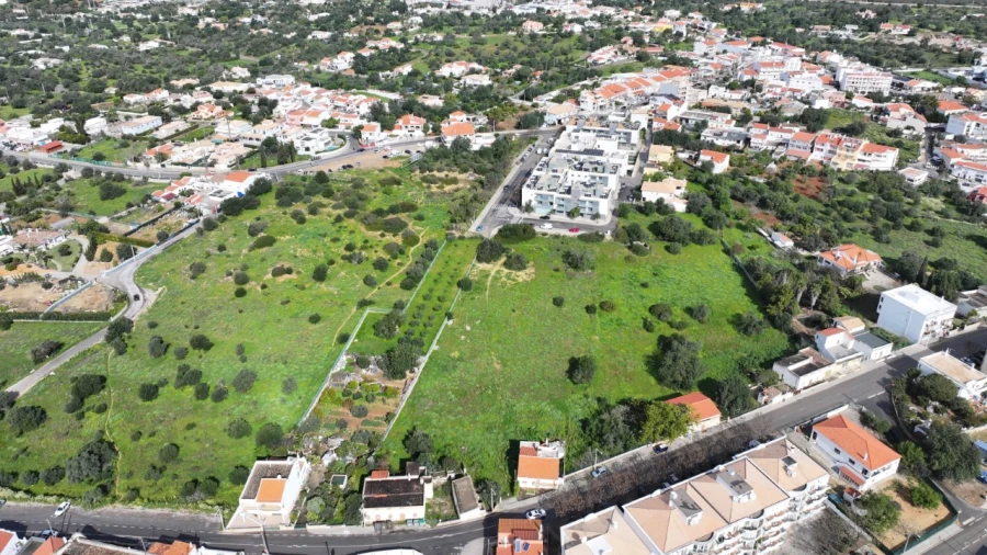 Terreno para para venda em Almancil Foto 9