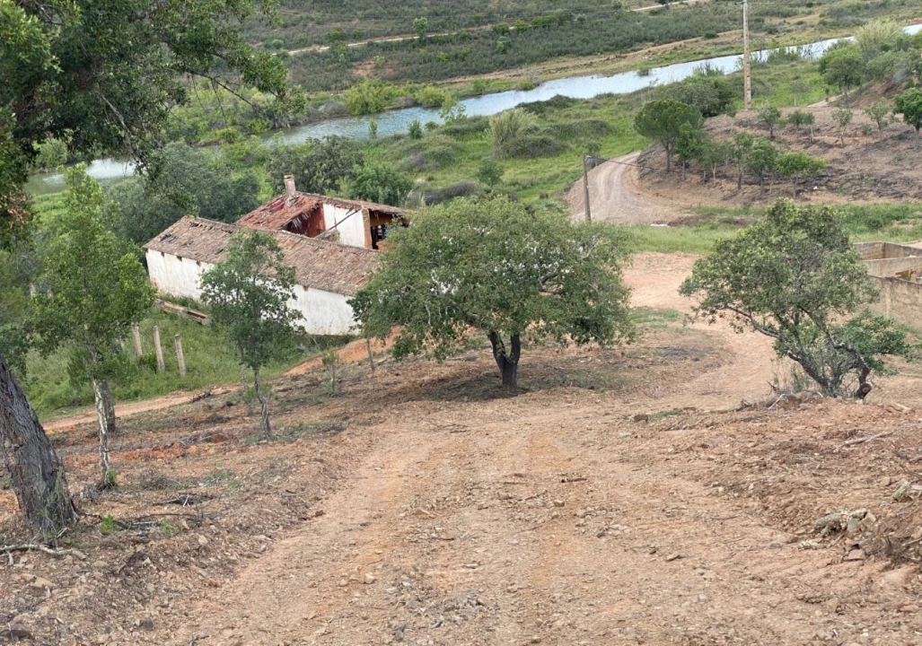 Terreno para para venda em Silves Foto 4