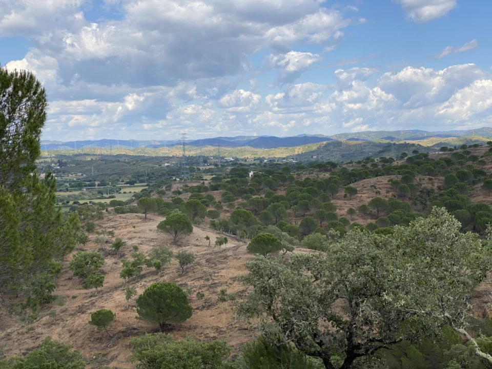 Terreno para para venda em Silves Foto 6