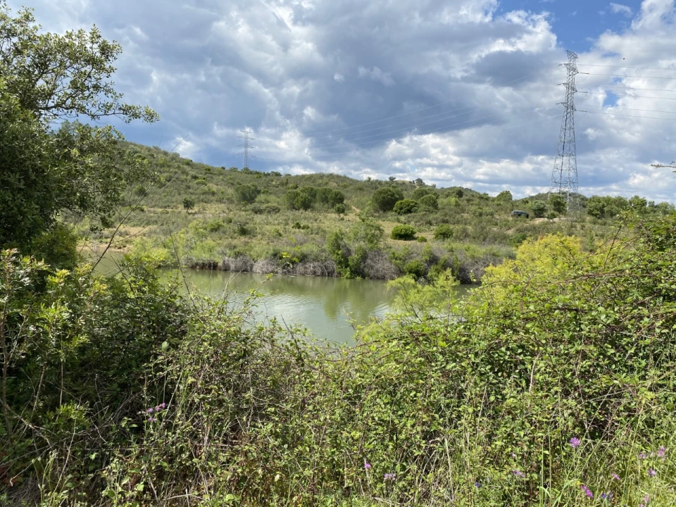 Terreno para para venda em Silves Foto 3
