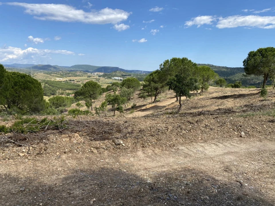 Terreno para para venda em Silves Foto 8
