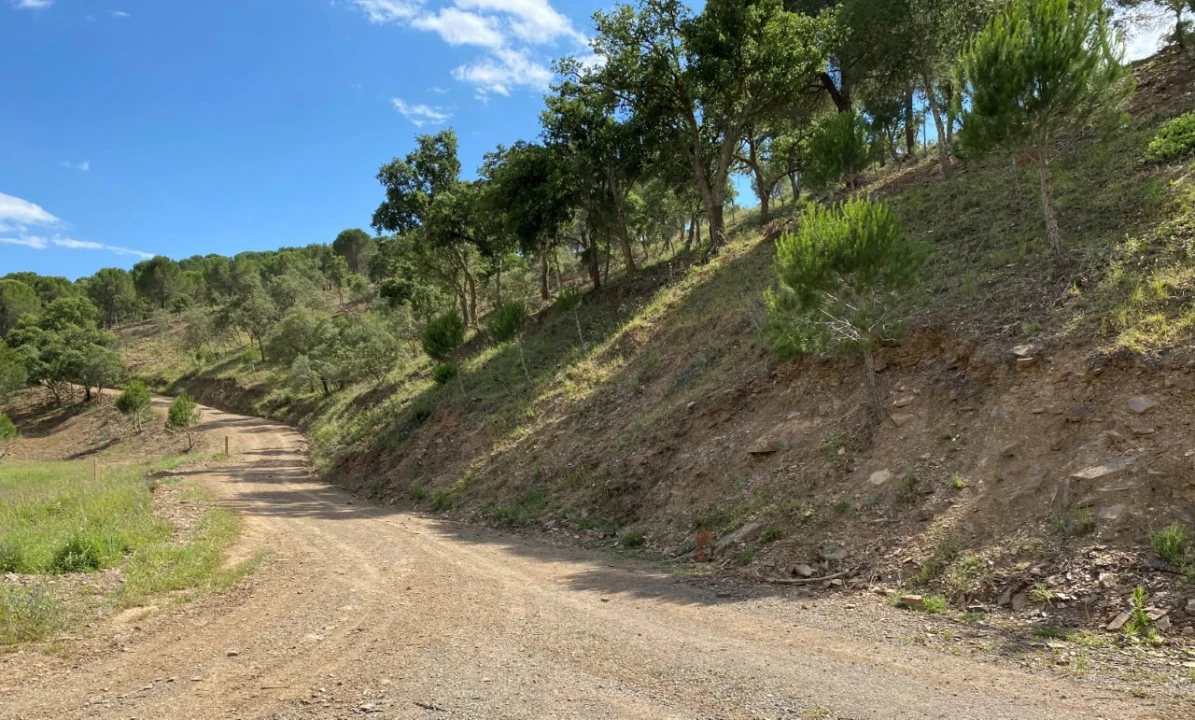 Terreno para para venda em Silves Foto 11