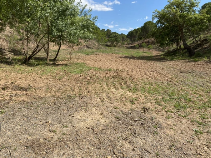 Terreno para para venda em Silves Foto 9