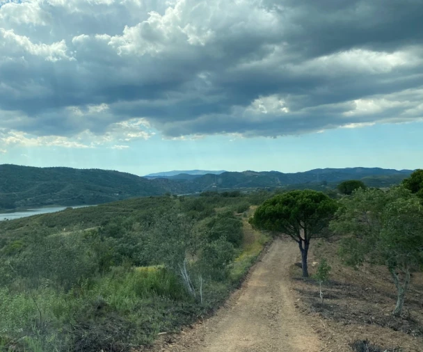 Terreno para para venda em Silves Foto 1
