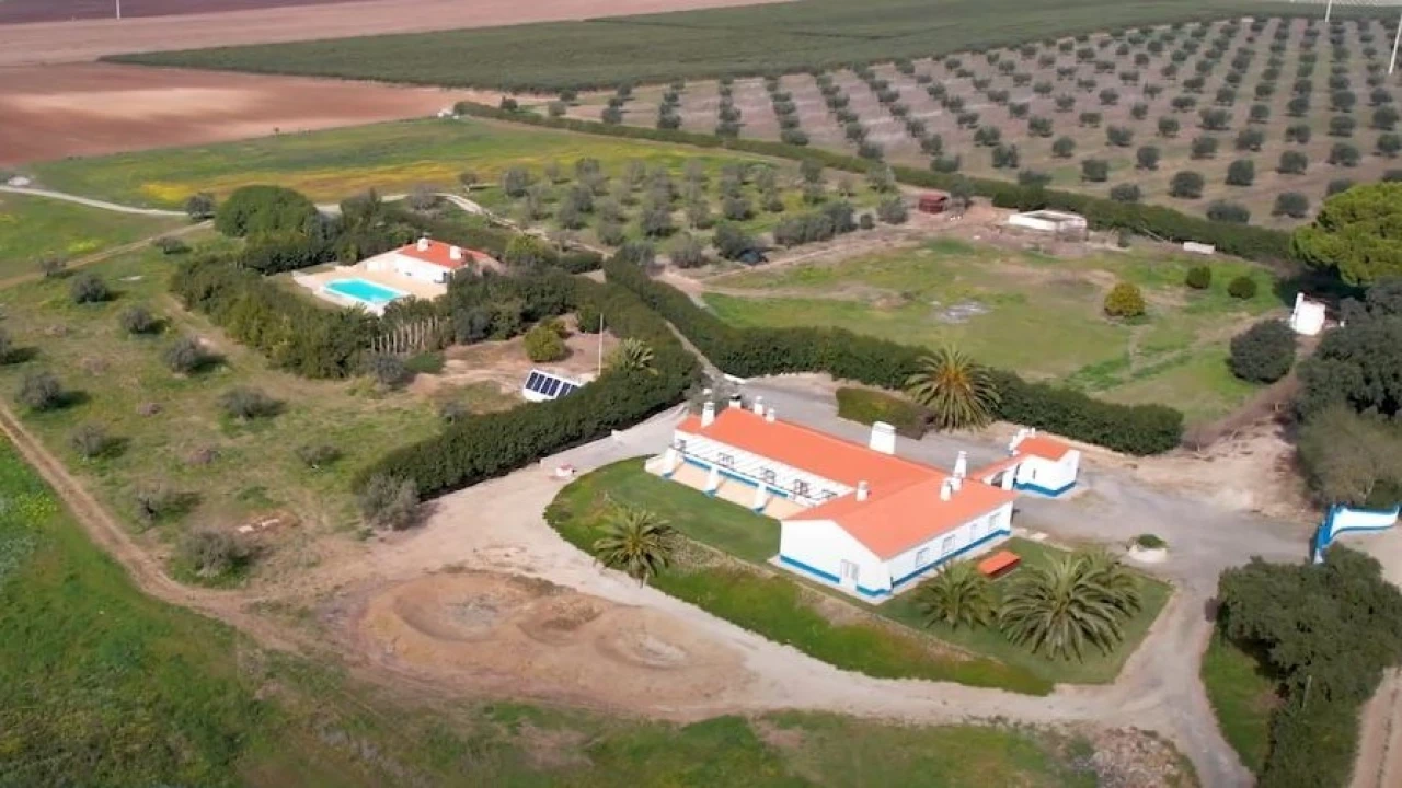 Moradia T7 para para venda em Ferreira do Alentejo e Canhestros Foto 9