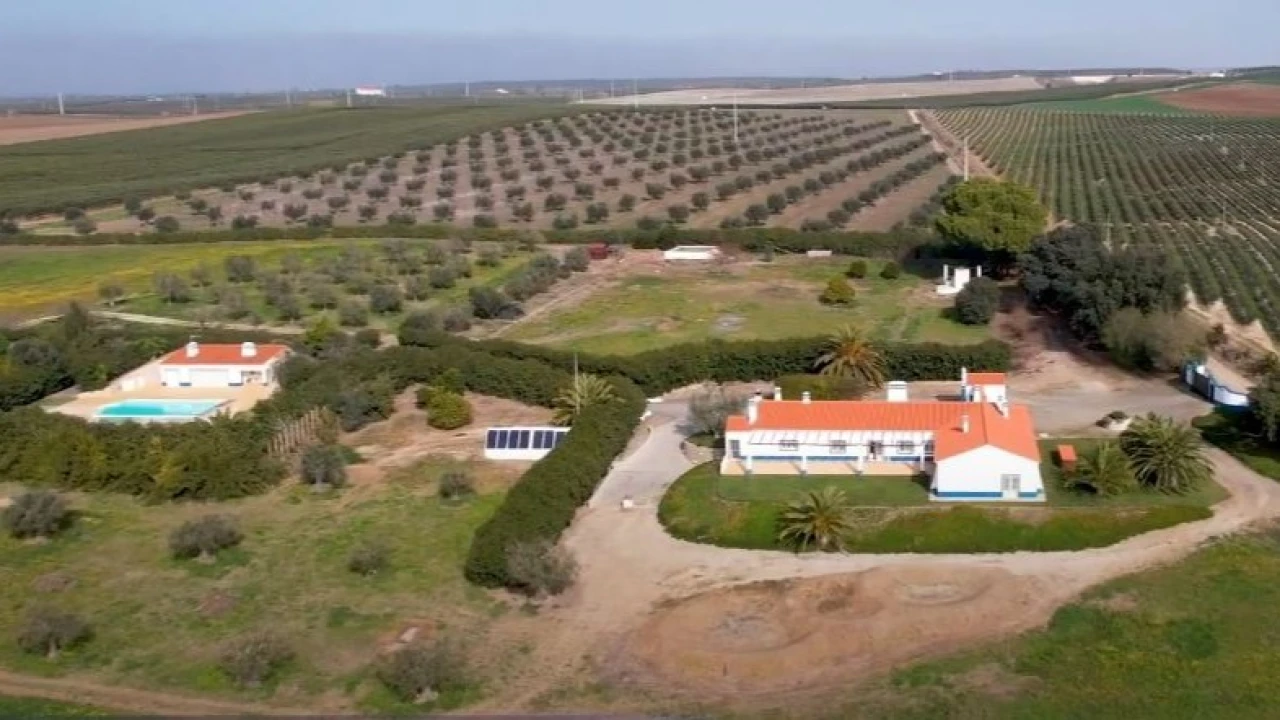 Moradia T7 para para venda em Ferreira do Alentejo e Canhestros Foto 14