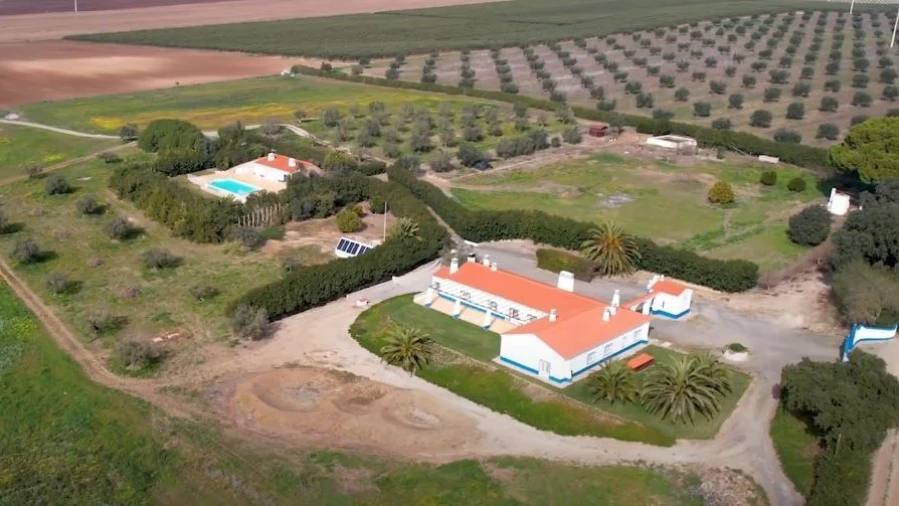 Moradia T7 para para venda em Ferreira do Alentejo e Canhestros Foto 9