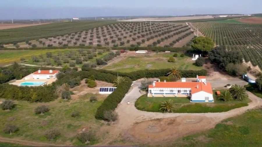 Moradia T7 para para venda em Ferreira do Alentejo e Canhestros Foto 14