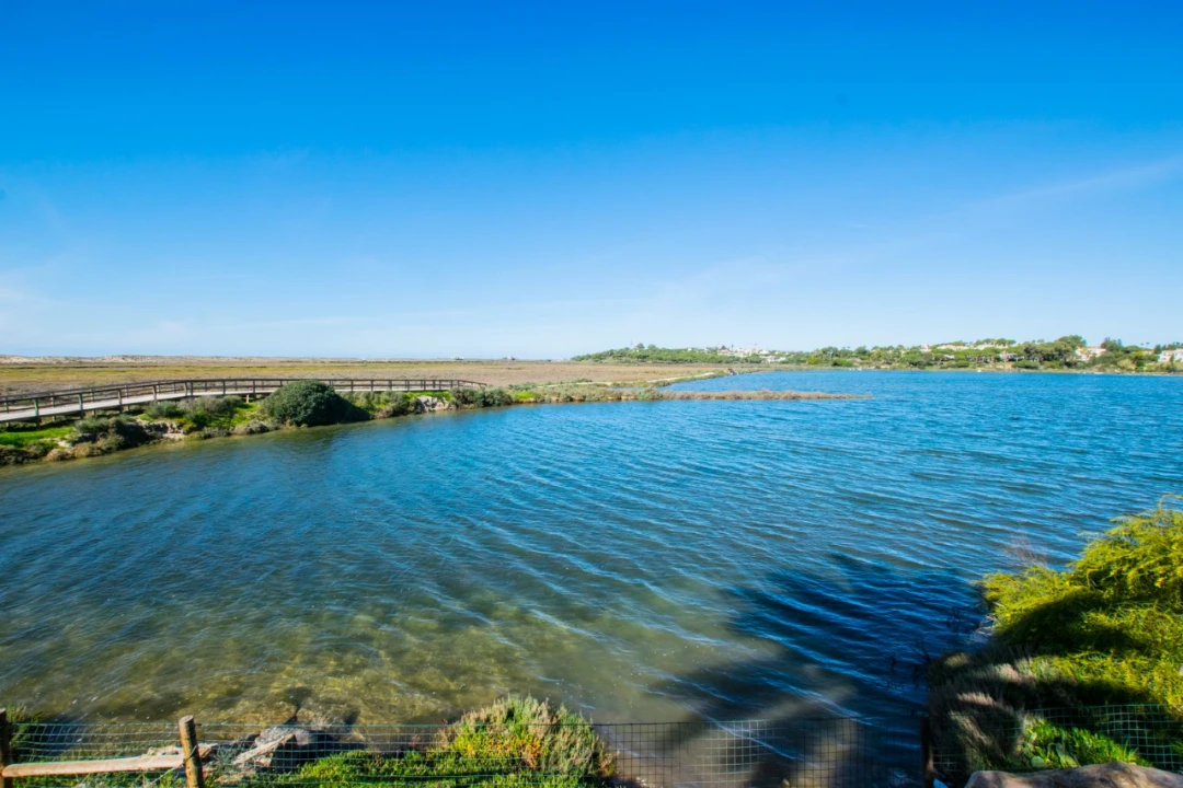 Moradia T4 para para venda em Almancil Foto 22