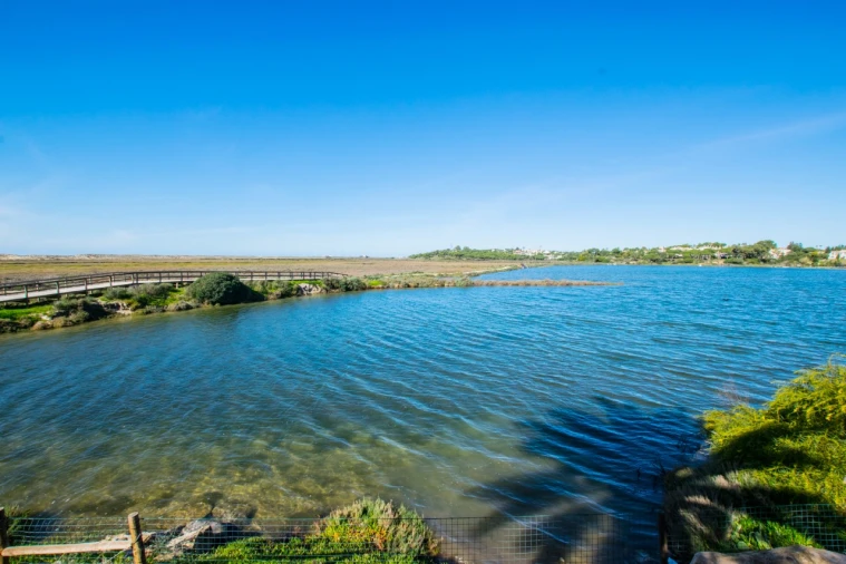 Moradia T4 para para venda em Almancil Foto 22