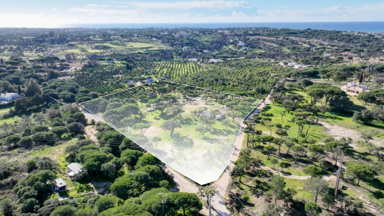 Negócio para para venda em Almancil Foto 17