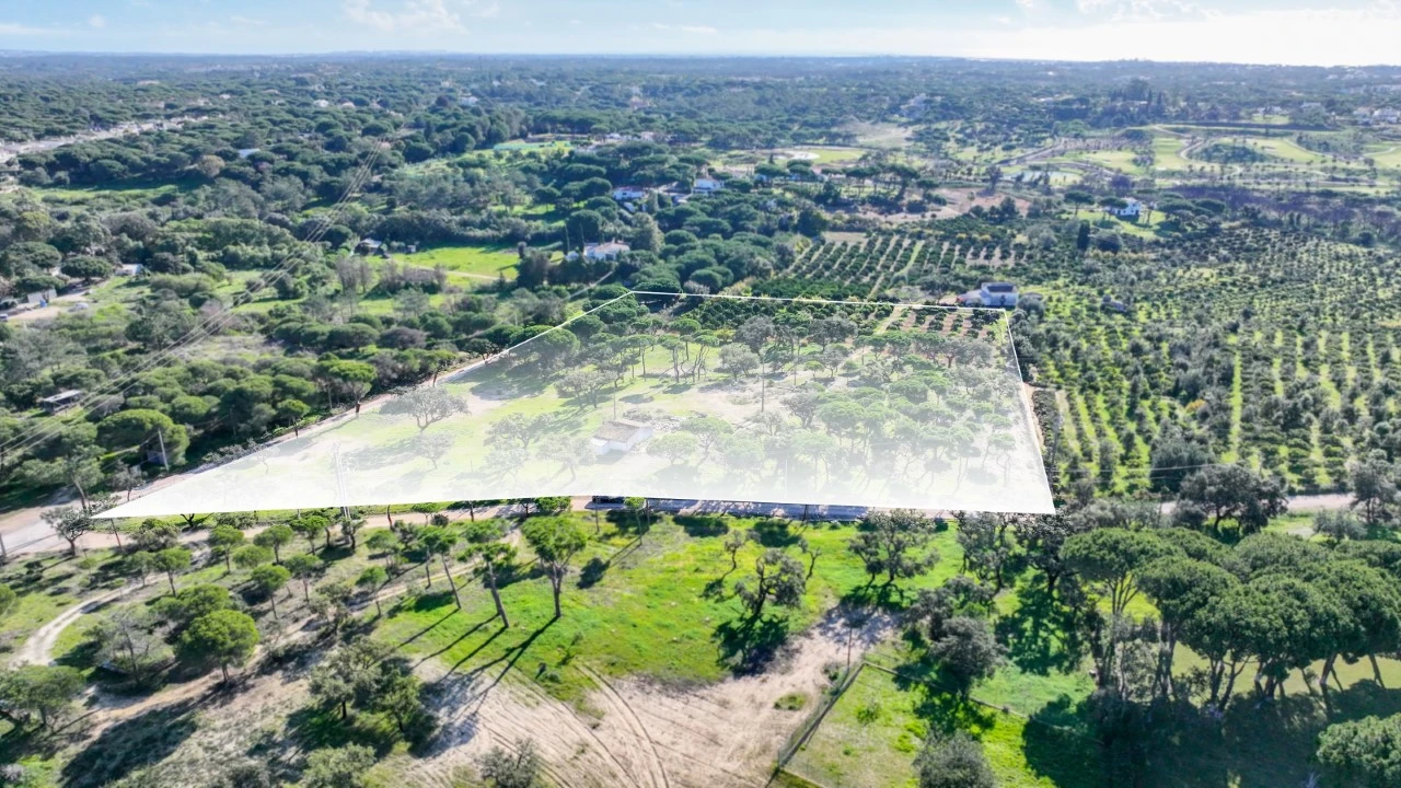 Negócio para para venda em Almancil Foto 18