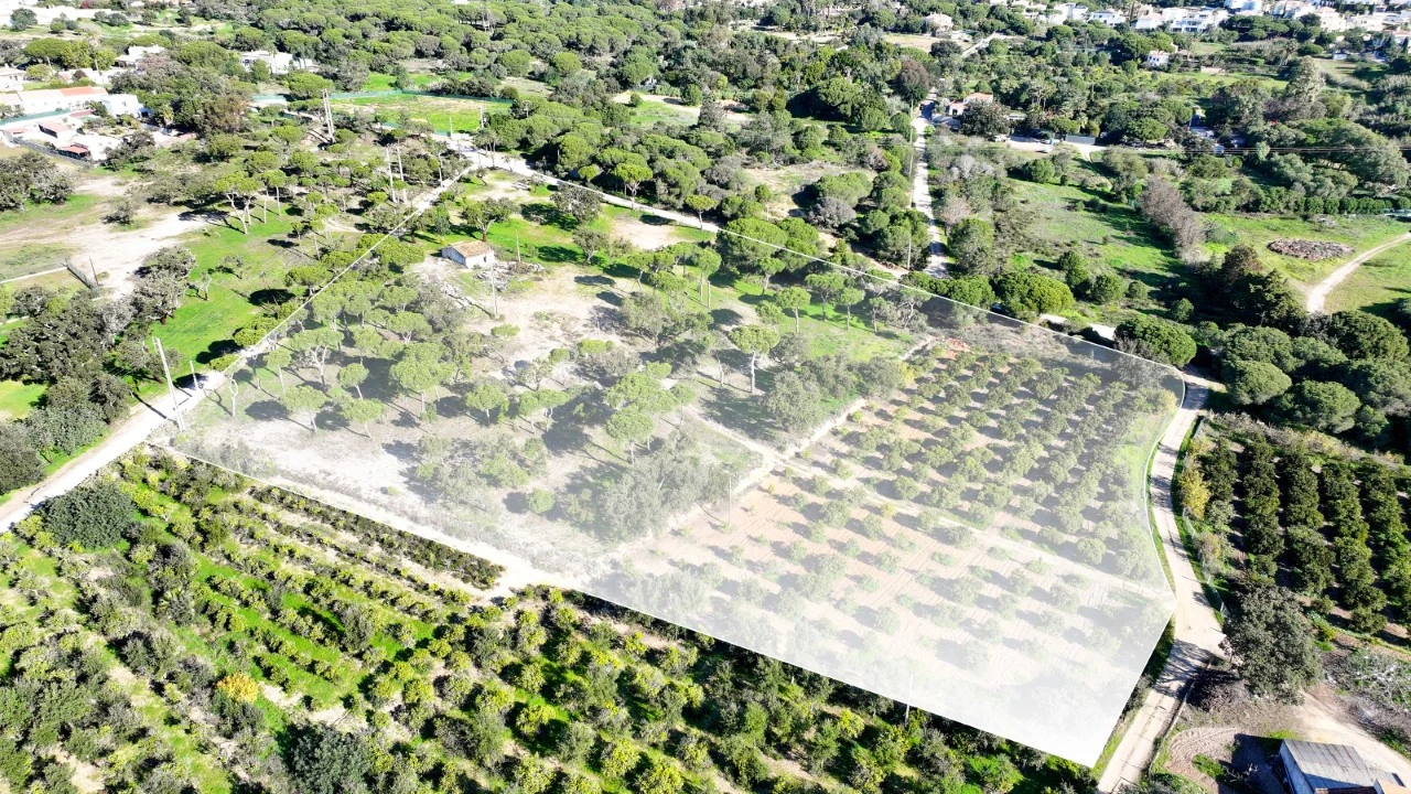 Negócio para para venda em Almancil Foto 19