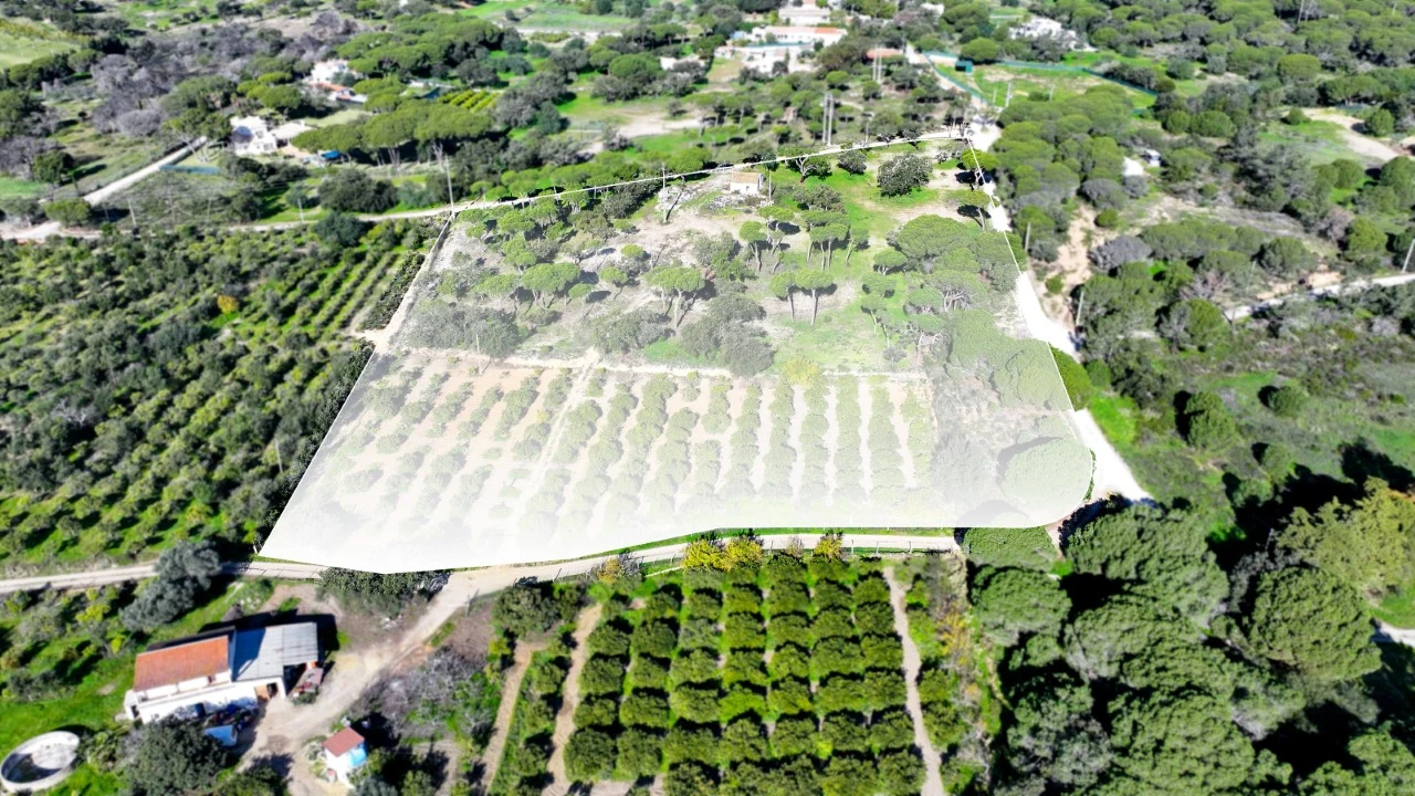 Negócio para para venda em Almancil Foto 20