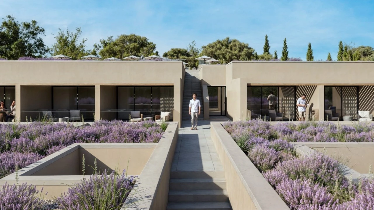 Negócio para para venda em Almancil Foto 10