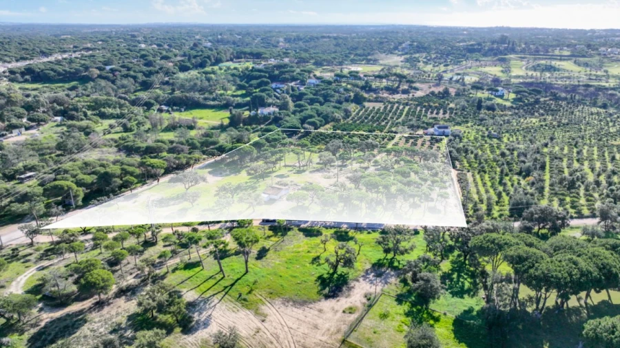 Negócio para para venda em Almancil Foto 18