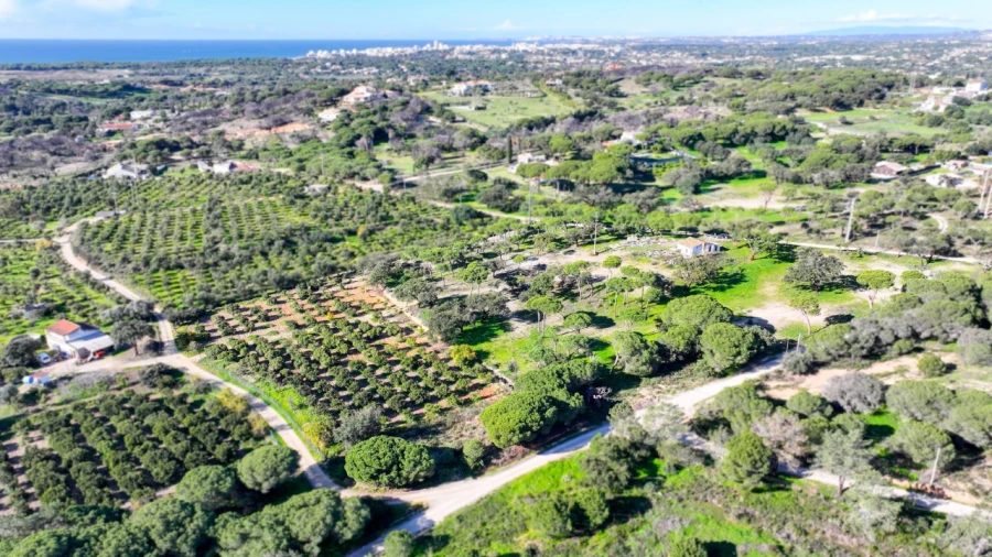Negócio para para venda em Almancil
