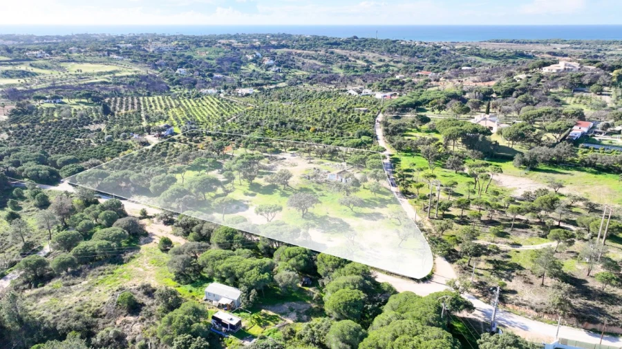 Negócio para para venda em Almancil Foto 21