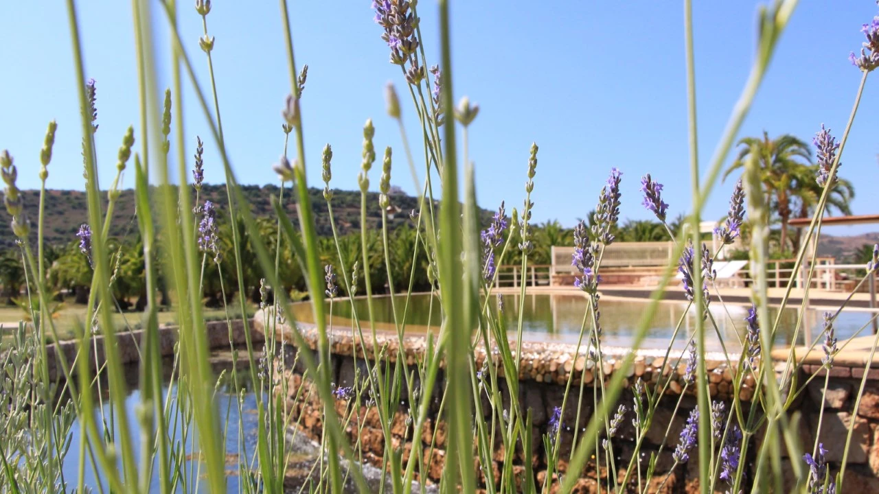 Moradia T3 para para venda em Mexilhoeira Grande Foto 14