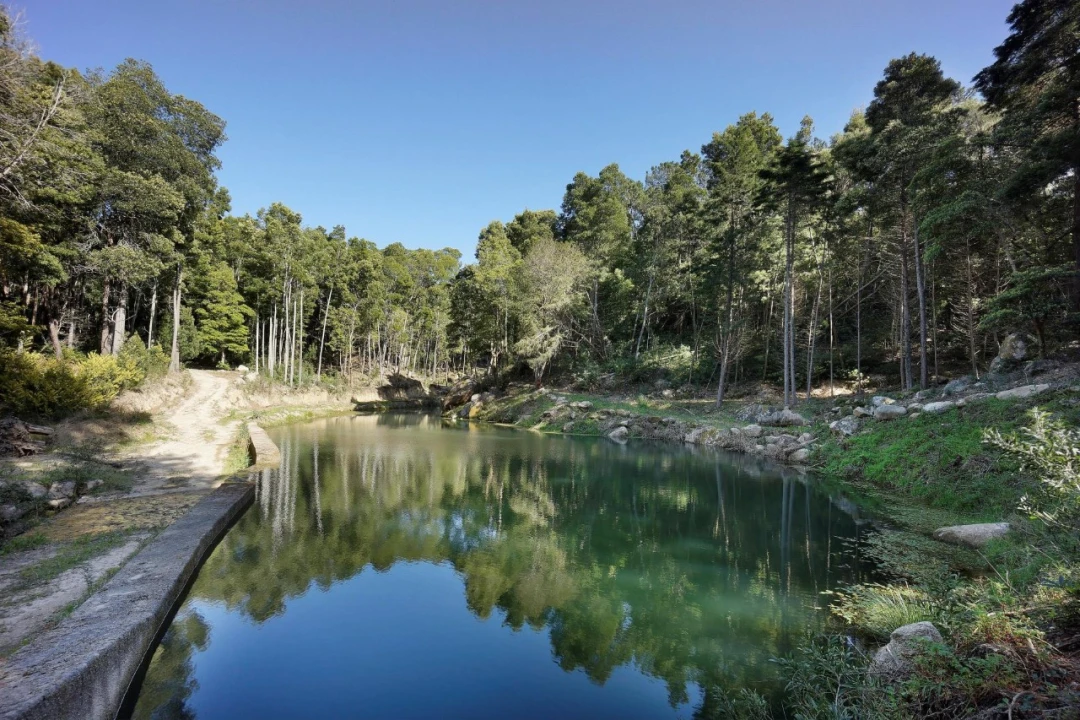 Moradia T8 para para venda em Santa Maria e São Miguel, São Martinho, São Pedro Penaferrim Foto 4