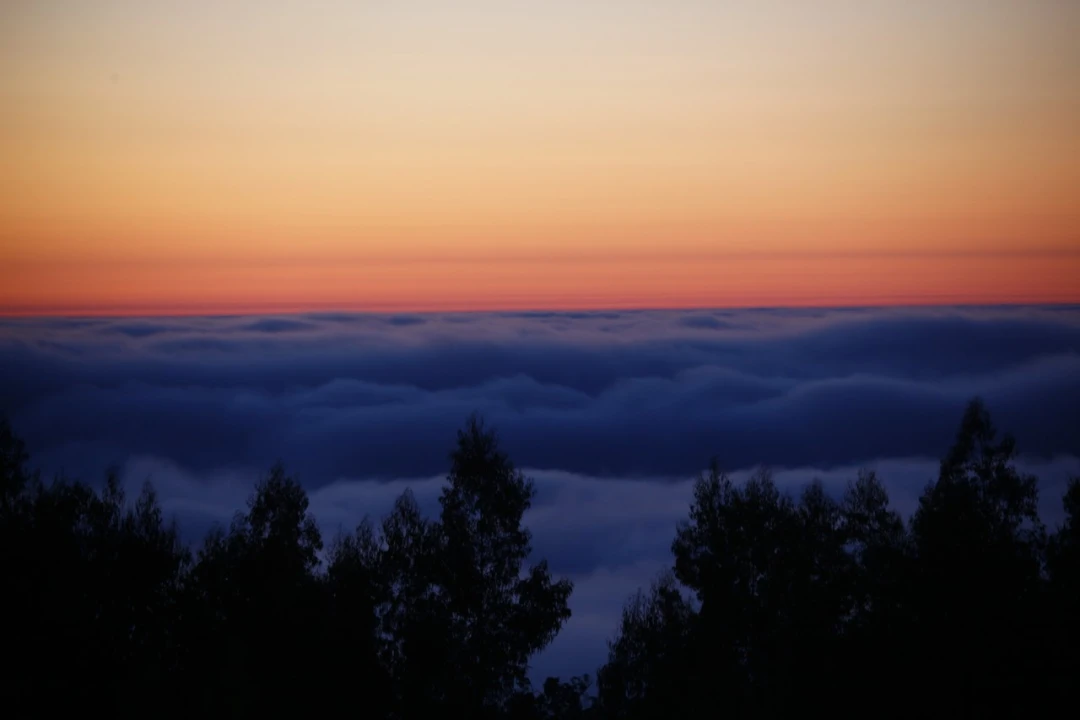 Moradia T8 para para venda em Santa Maria e São Miguel, São Martinho, São Pedro Penaferrim Foto 17
