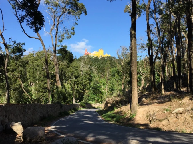 Moradia T8 para para venda em Santa Maria e São Miguel, São Martinho, São Pedro Penaferrim Foto 21