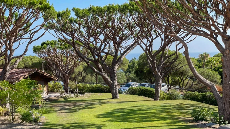 Moradia T3 para para venda em Almancil Foto 10