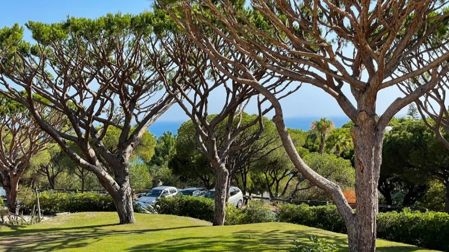 Moradia T3 para para venda em Almancil Foto 20