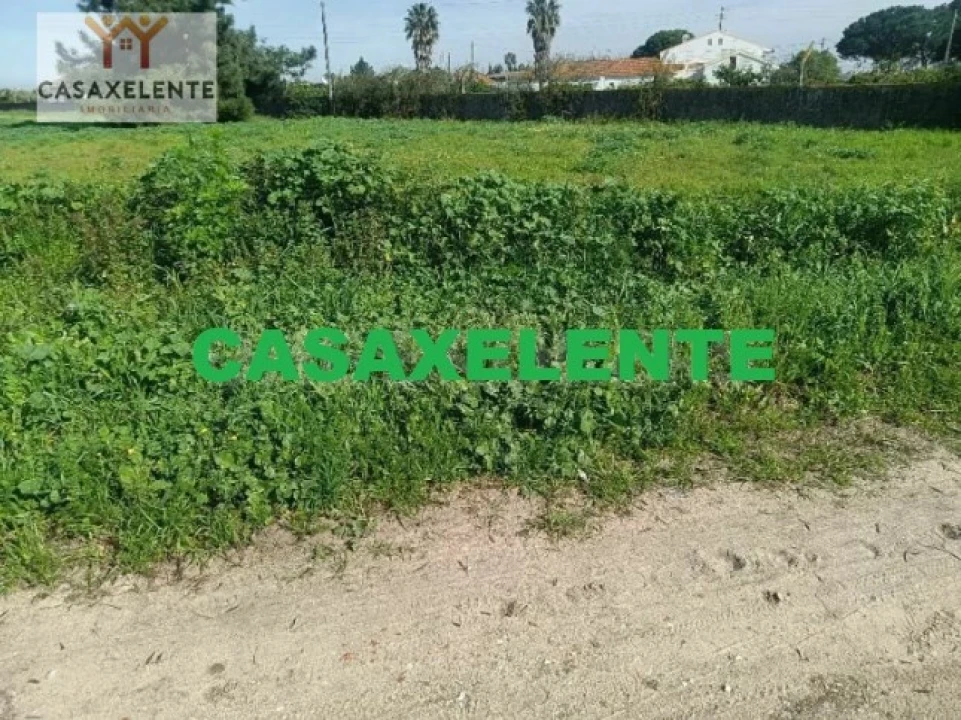 Terreno para Venda em Samora Correia Foto 5