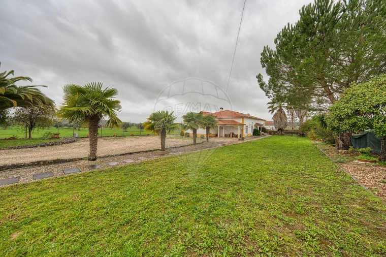 Moradia T4 para Venda em Brogueira, Parceiros de Igreja e Alcorochel Foto 46