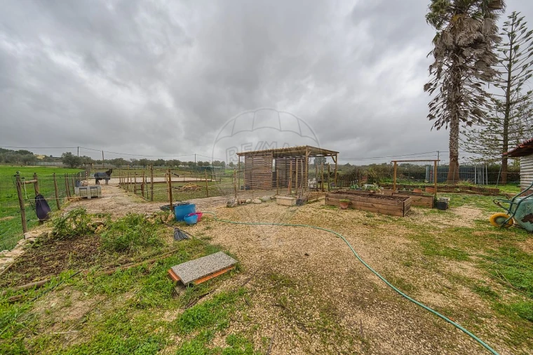 Moradia T4 para Venda em Brogueira, Parceiros de Igreja e Alcorochel Foto 42